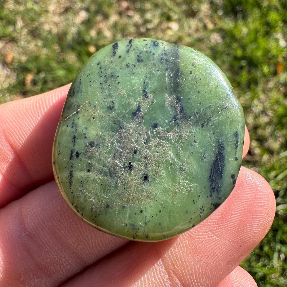 Canadian Jade Palm Stone Nephrite #11